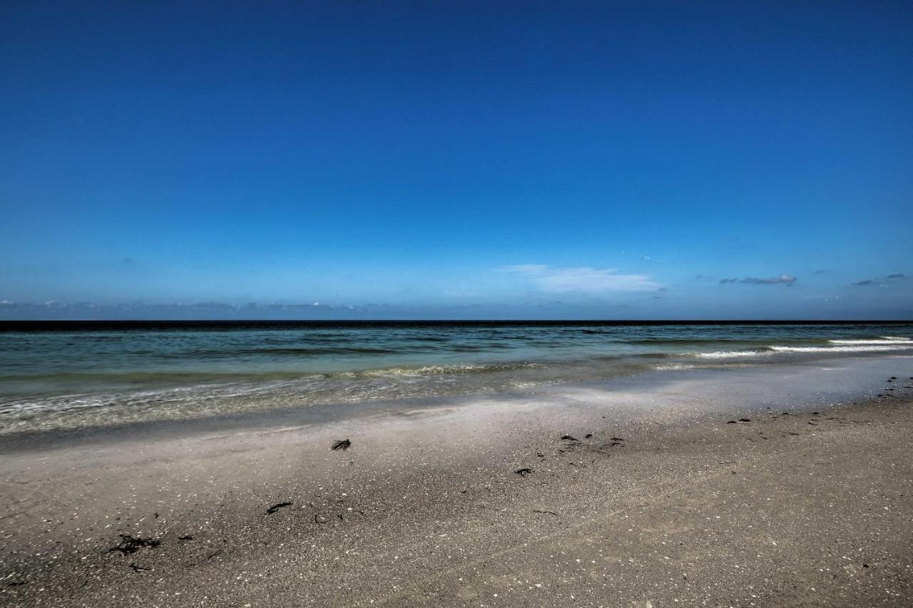 Indian Shores Condo With 2 Balconies And Pool Access! شاطئ كليرووتر المظهر الخارجي الصورة
